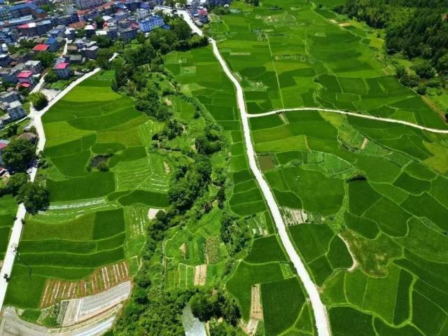 吉安市農(nóng)業(yè)農(nóng)村局 推動(dòng)政府信息公開與職業(yè)技能培訓(xùn)融合發(fā)展